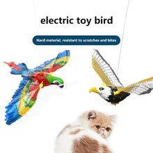 Φόρτωση εικόνας στο εργαλείο προβολής Συλλογής, Ιπτάμενο παιχνίδι για γάτες

